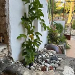 Loucy's Art Εξοχικό σπίτι Mandria (Limassol)